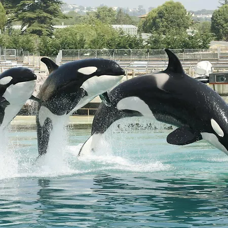 Marineland 3* Antibes