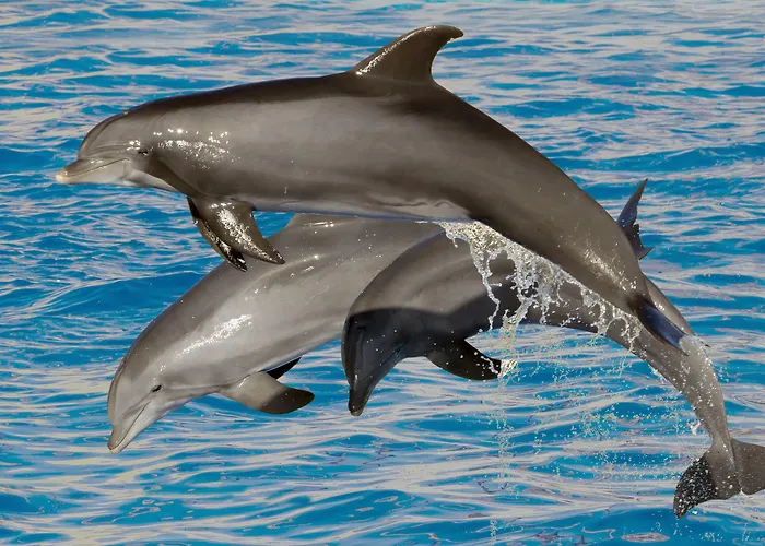 Soblue 3* アンティーブ